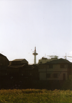 rivertower.jpg
