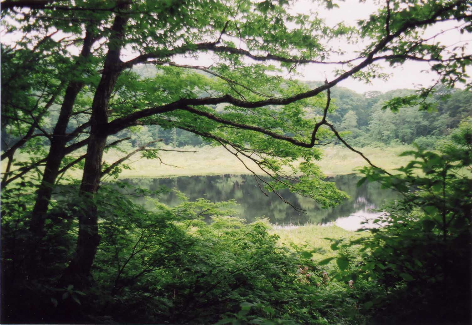i-ha03.jpg