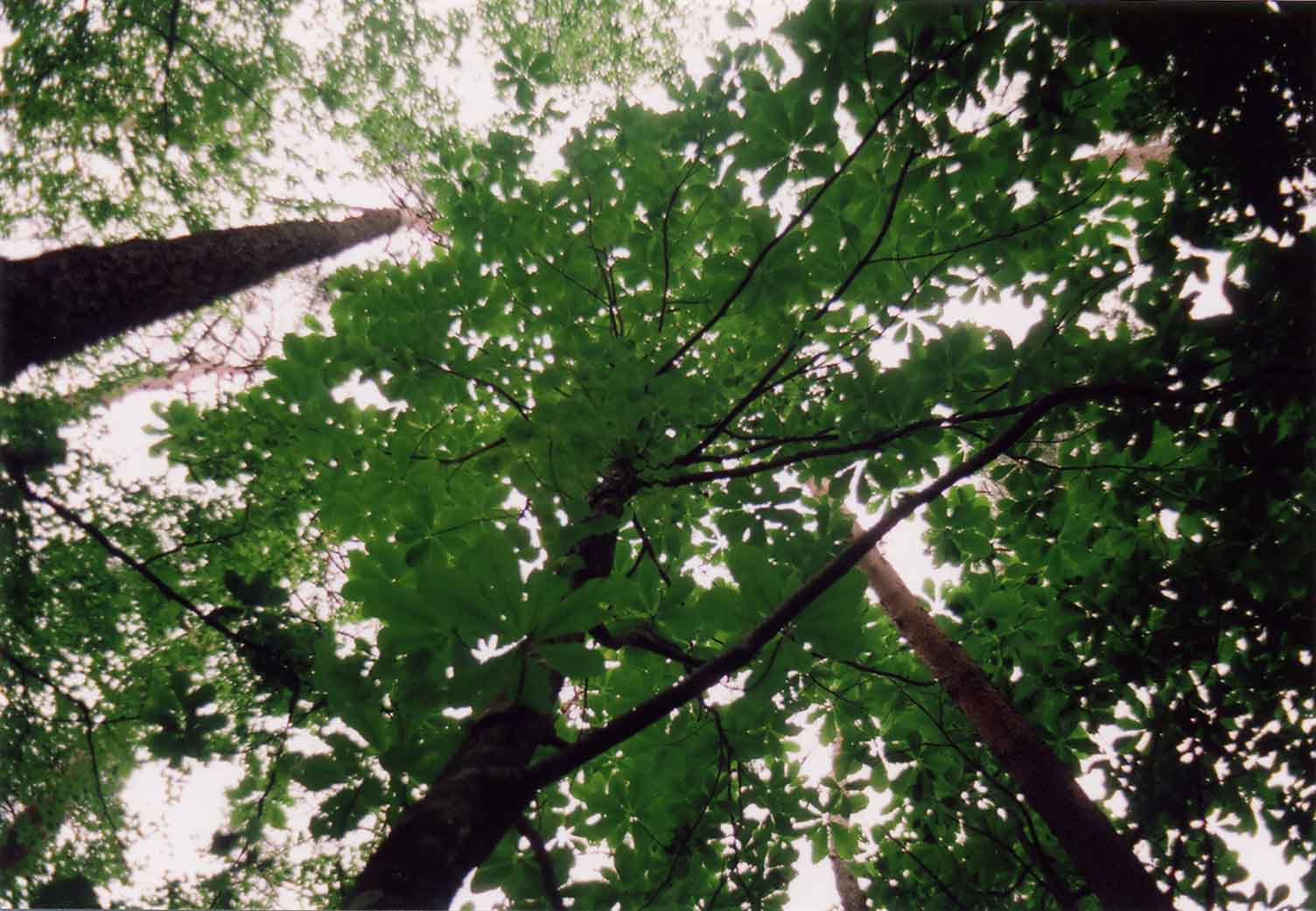 i-ha07.jpg