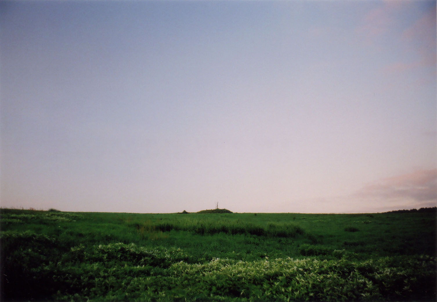 i-ha10.jpg