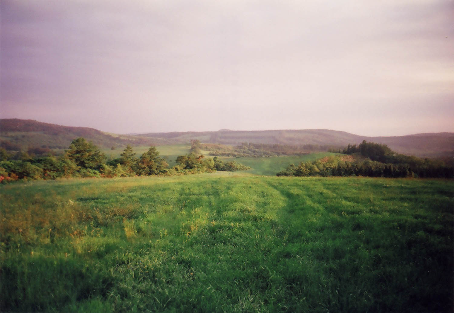 i-ha13.jpg
