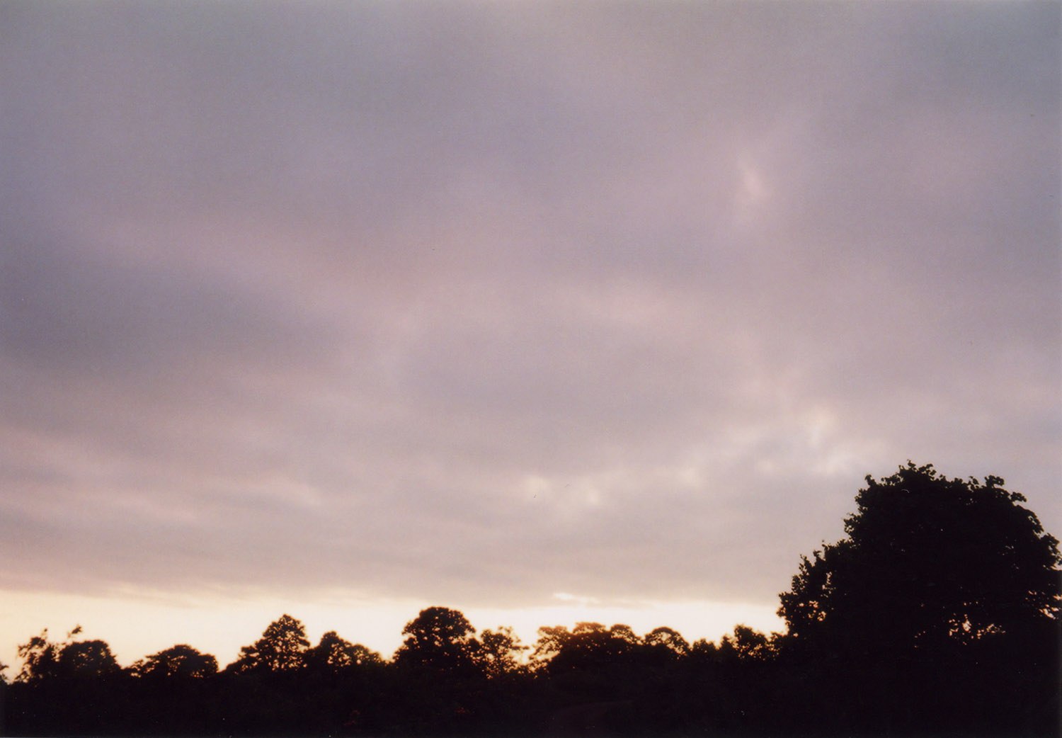 i-ha14.jpg