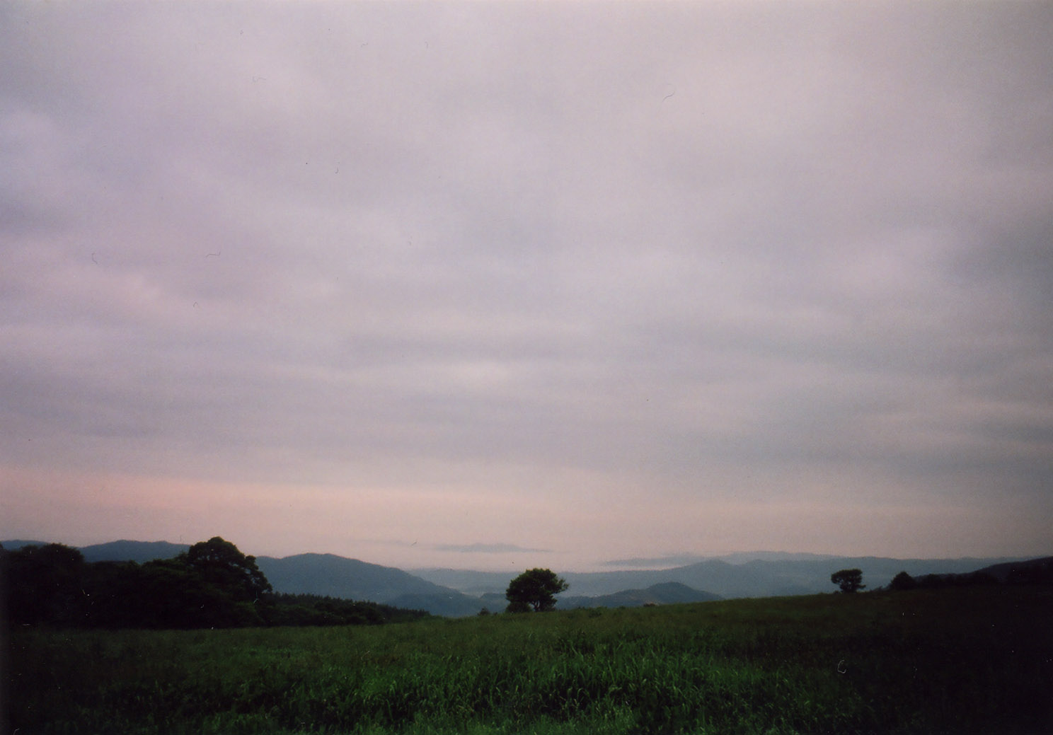 i-ha15.jpg