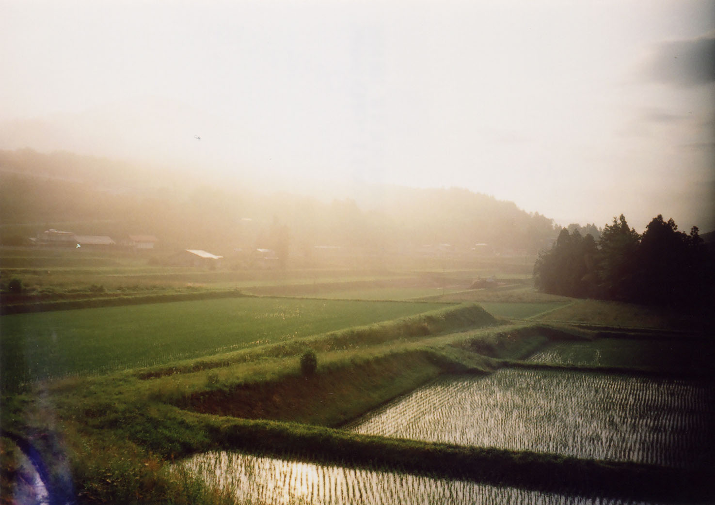 i-ha16.jpg